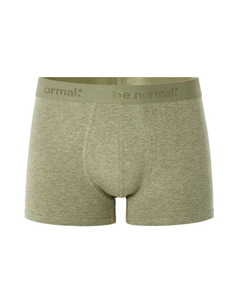 BINORMAL