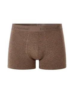 BINORMAL