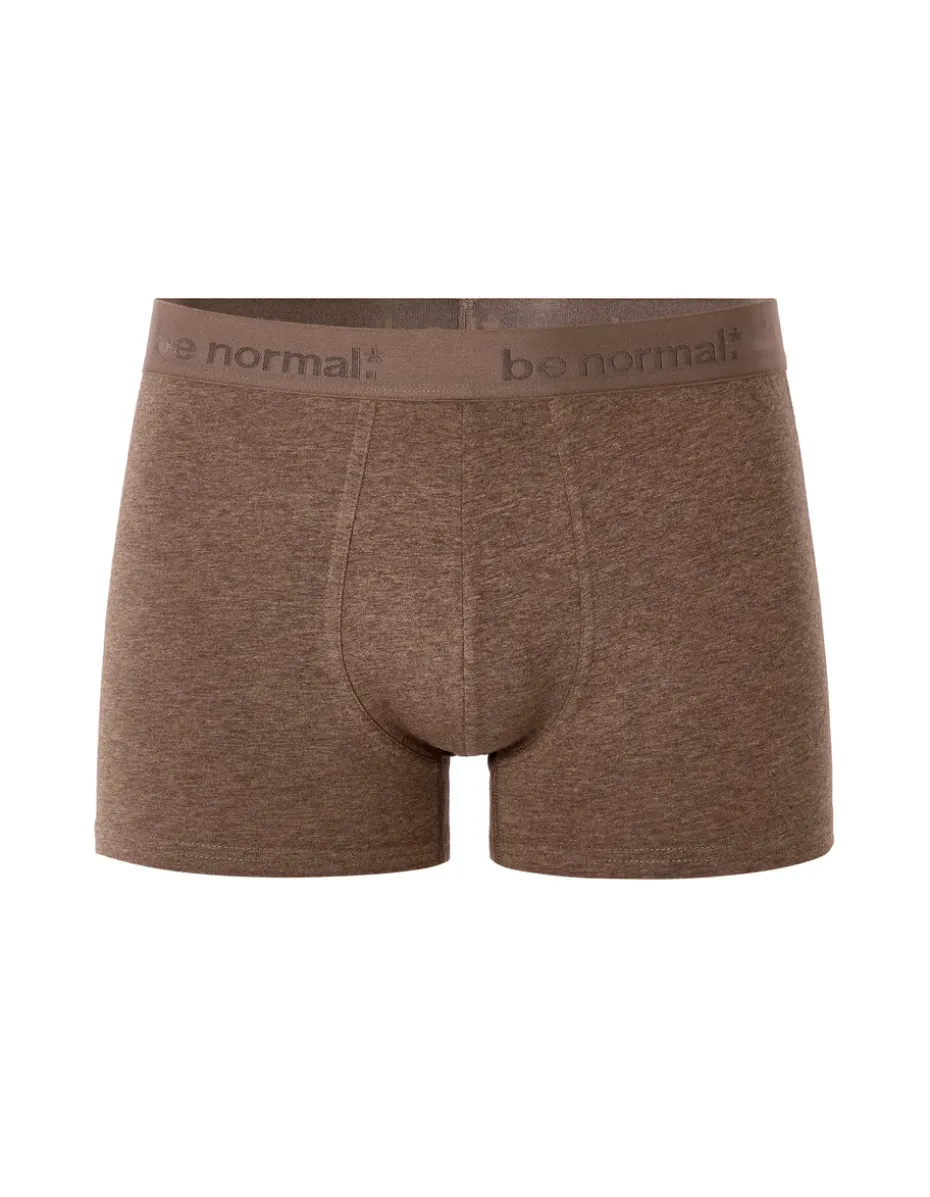 BINORMAL