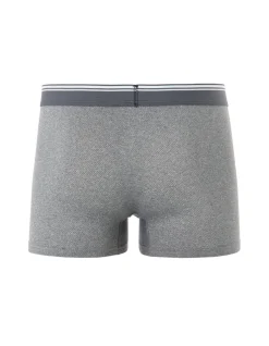 MIBOFIBRE