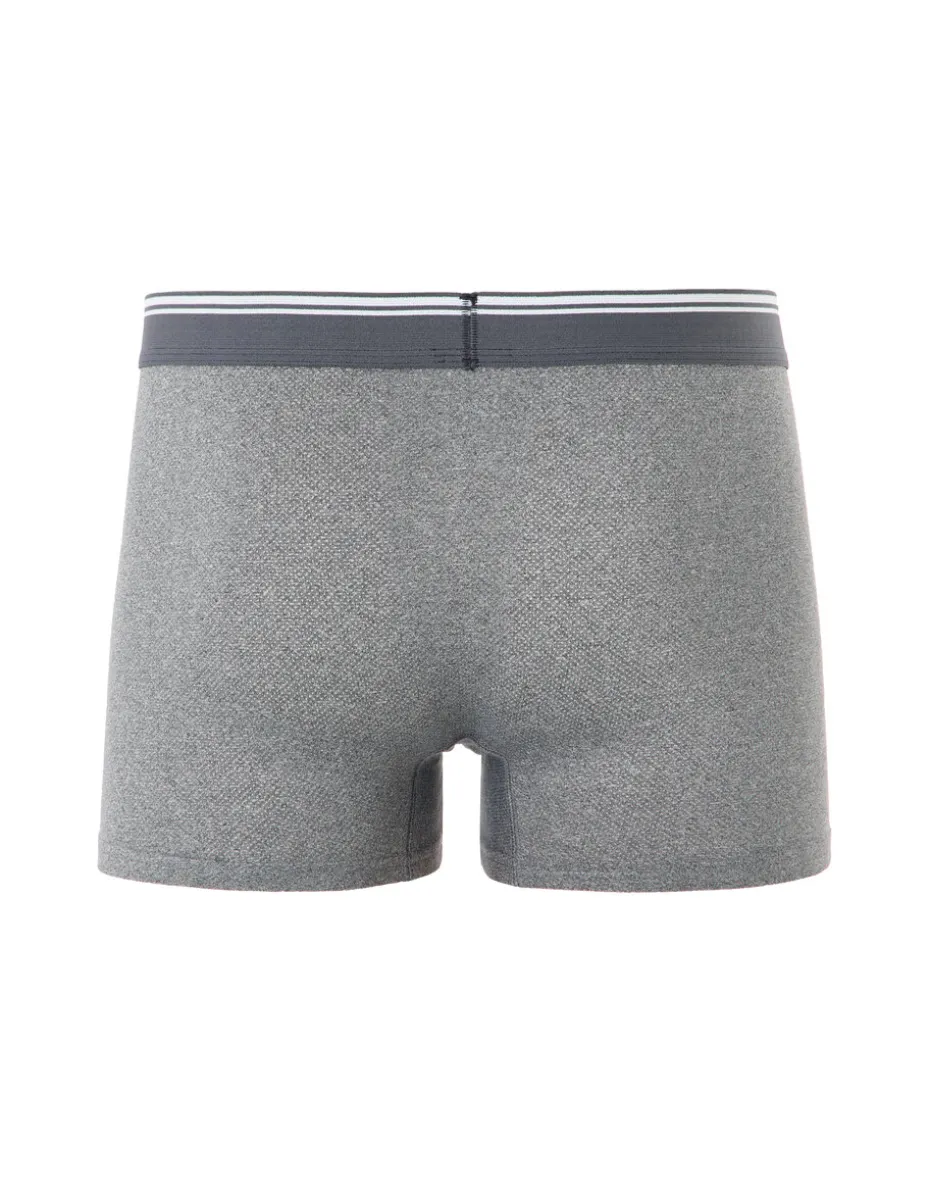 MIBOFIBRE
