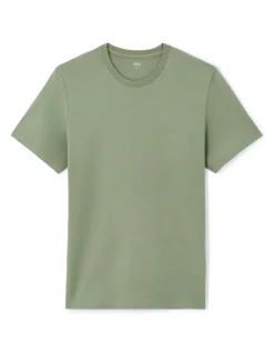 T-shirt recht col rond 100% koton - kaki clair